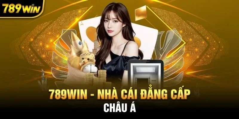 Giới Thiệu Tổng Quan